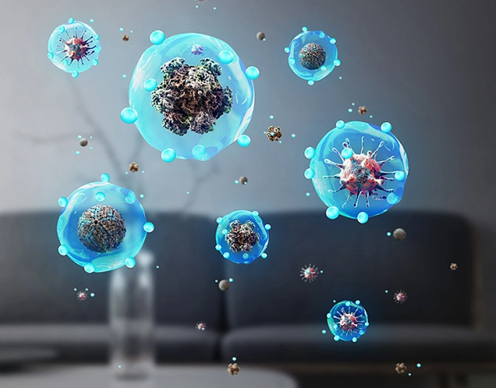 1697508752805275.jpg 485.jpg