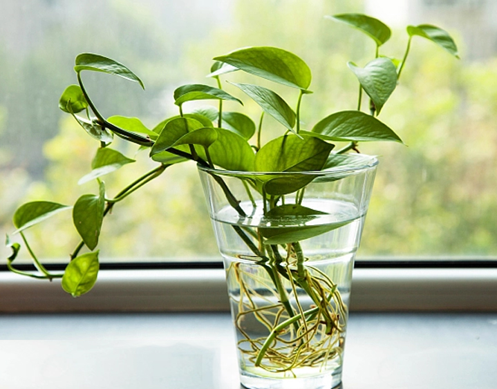 1697509365445482.jpg 88.jpg