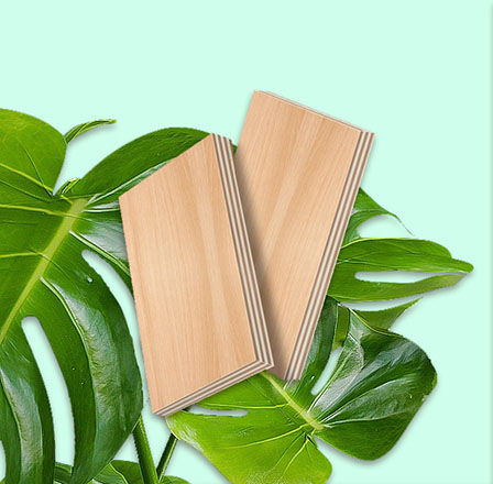 免费99精品国产自在在线